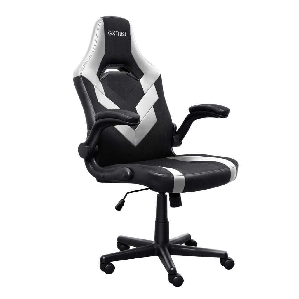 Trust GXT 703 Riye Gaming Chair For Nintendo Switch, PC, PlayStation, Wii and Xbox – Black / White #404396